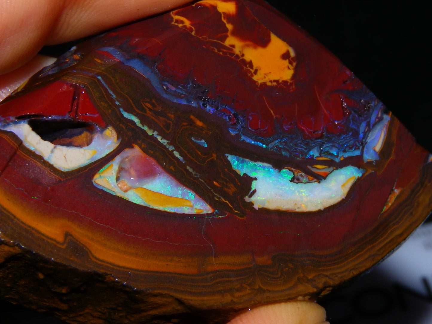 3 Matching Gem Boulder Opal Specimens/Slices 501cts Fires/Patterns Queensland Australia