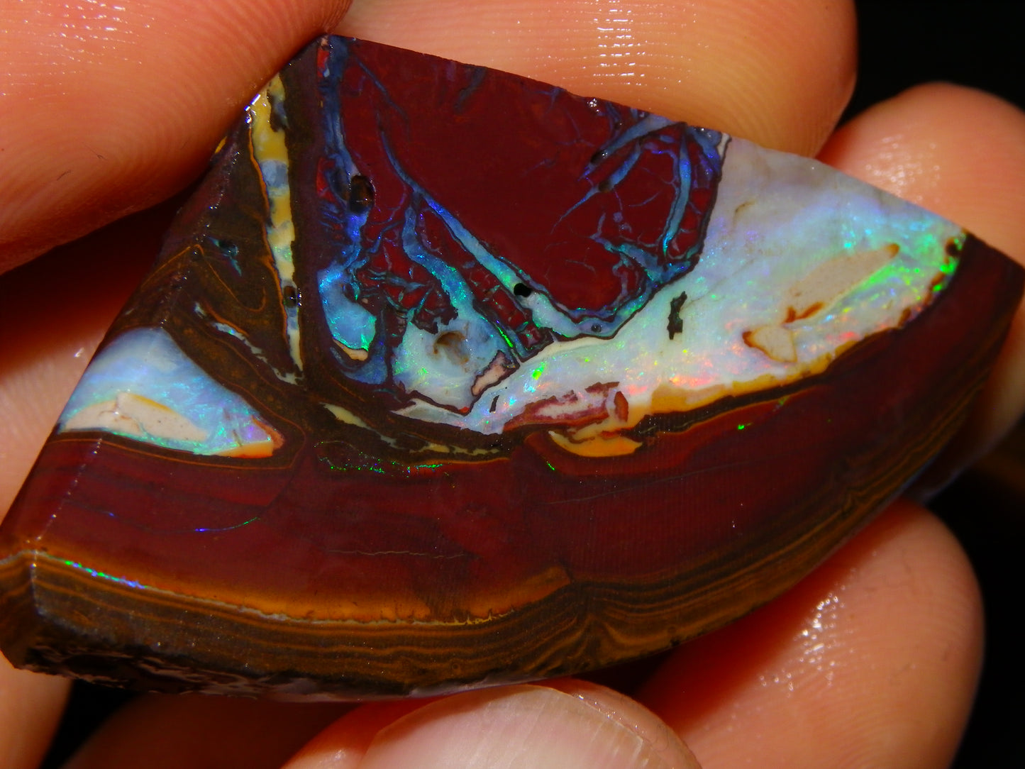 3 Matching Gem Boulder Opal Specimens/Slices 501cts Fires/Patterns Queensland Australia