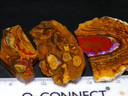 3 Nice Rough/Sliced Koroit Opals 402cts Queensland Australia Patterns/Fires/Nuts :)