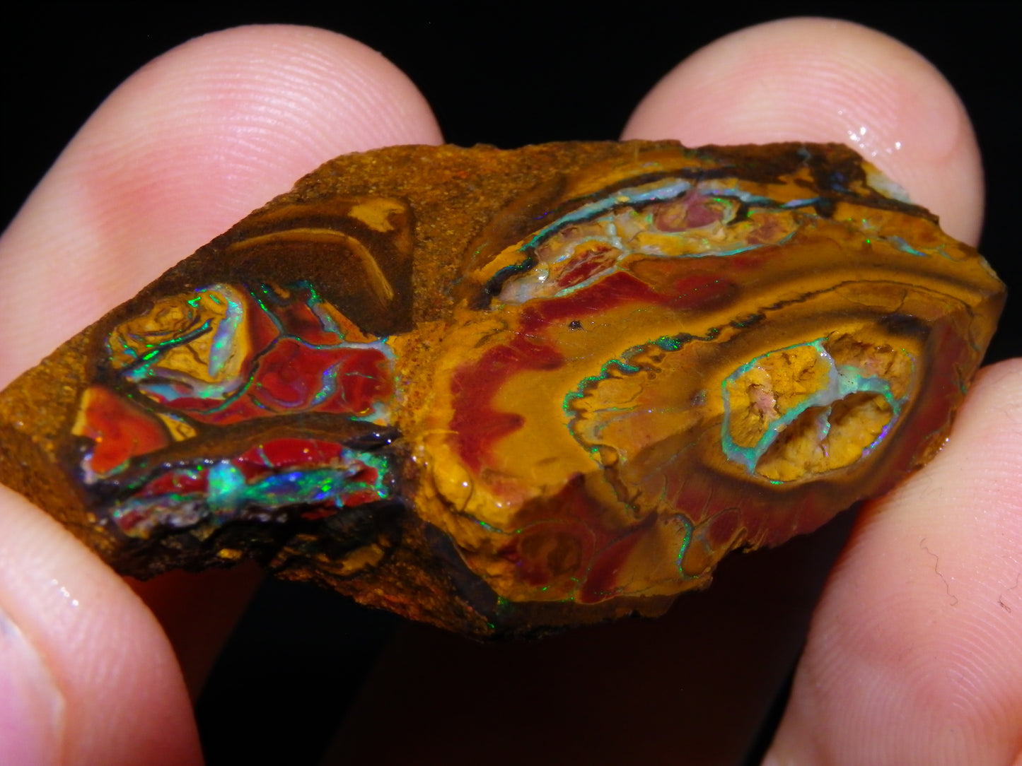 3 Nice Rough/Sliced Koroit Opals 402cts Queensland Australia Patterns/Fires/Nuts :)