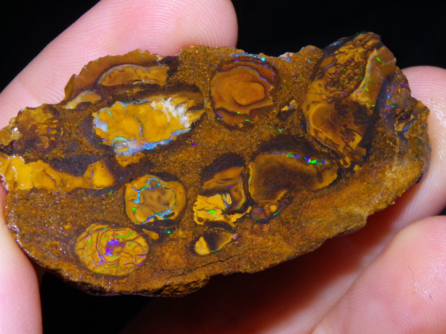 3 Nice Rough/Sliced Koroit Opals 402cts Queensland Australia Patterns/Fires/Nuts :)