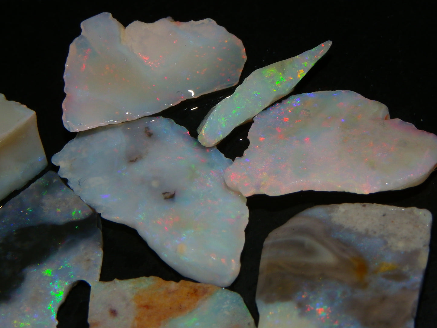 Nice Rough/Sliced Lightning Ridge Opals 79.8cts Multicolour Fires/Thin Specimens :)