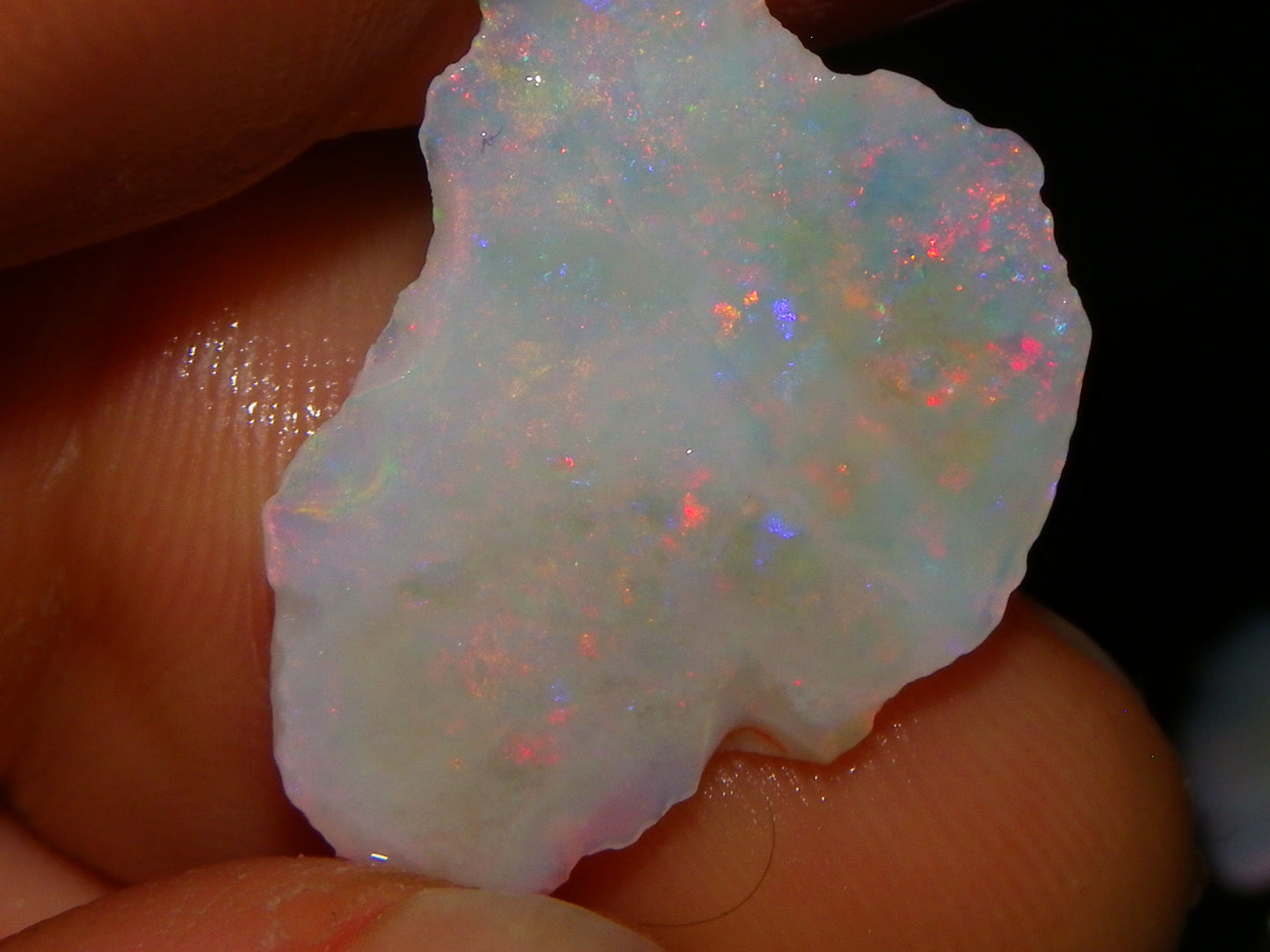 Nice Rough/Sliced Lightning Ridge Opals 79.8cts Multicolour Fires/Thin Specimens :)