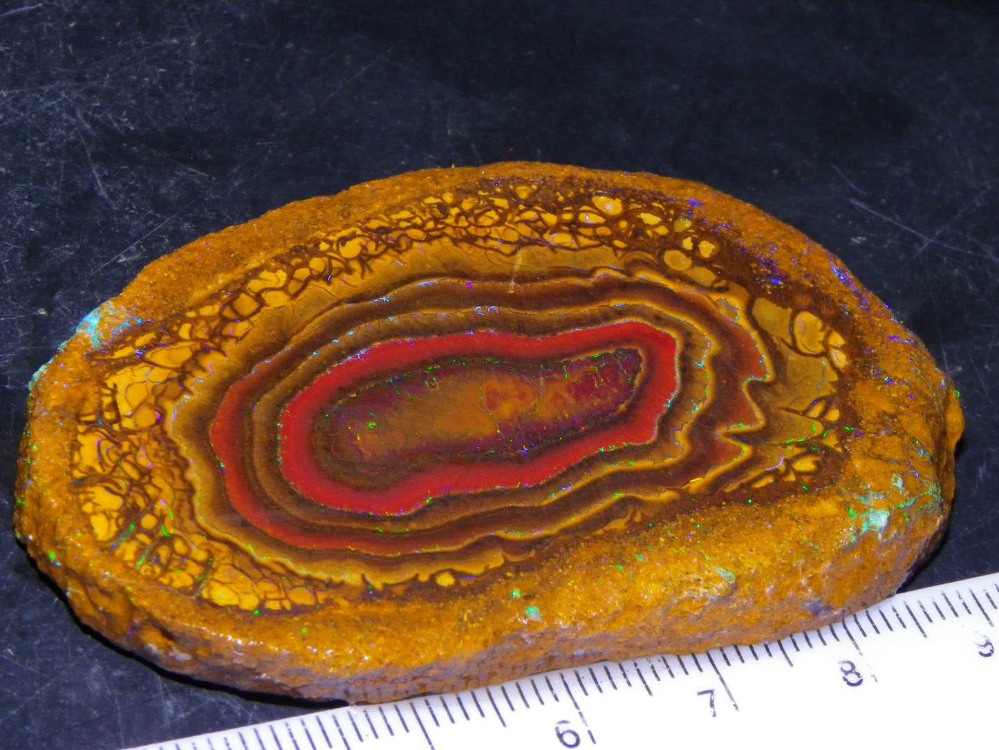 Nice Sliced Koroit Opal Nut Specimen 178cts Patterns/Fires Queensland Australia