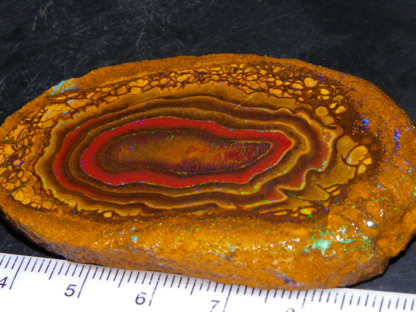 Nice Sliced Koroit Opal Nut Specimen 178cts Patterns/Fires Queensland Australia