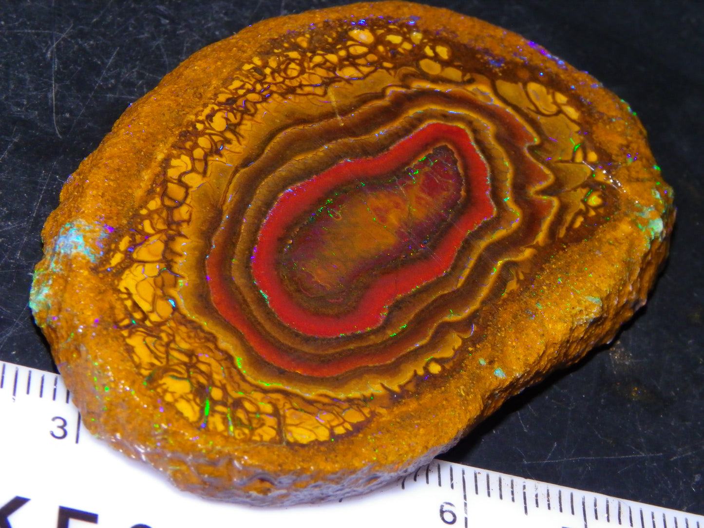 Nice Sliced Koroit Opal Nut Specimen 178cts Patterns/Fires Queensland Australia