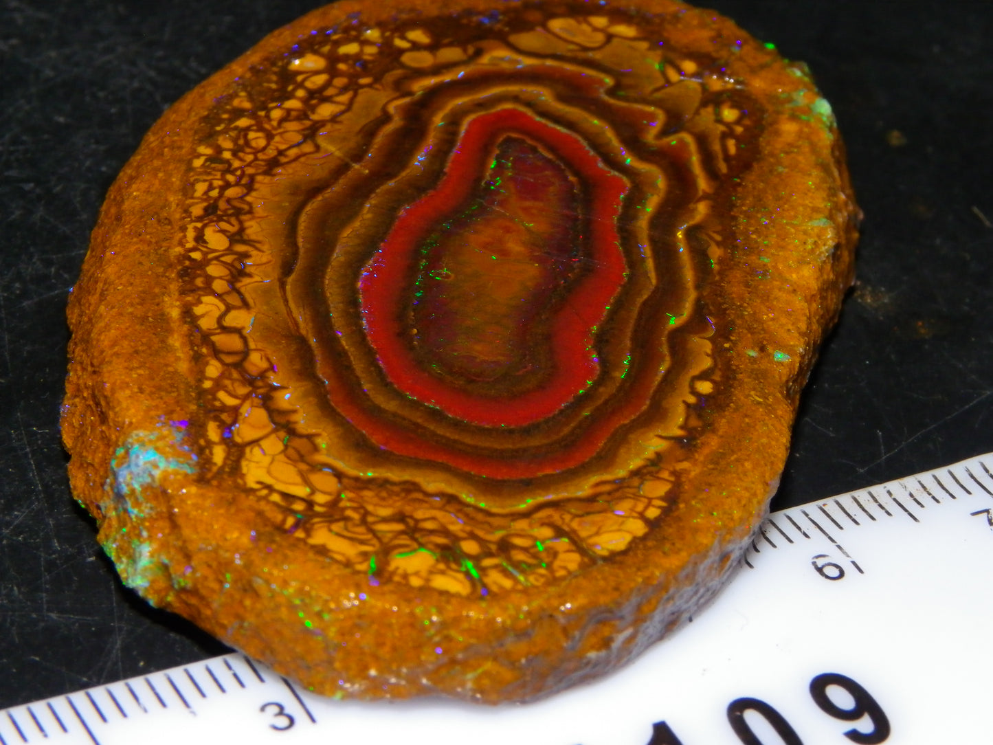 Nice Sliced Koroit Opal Nut Specimen 178cts Patterns/Fires Queensland Australia