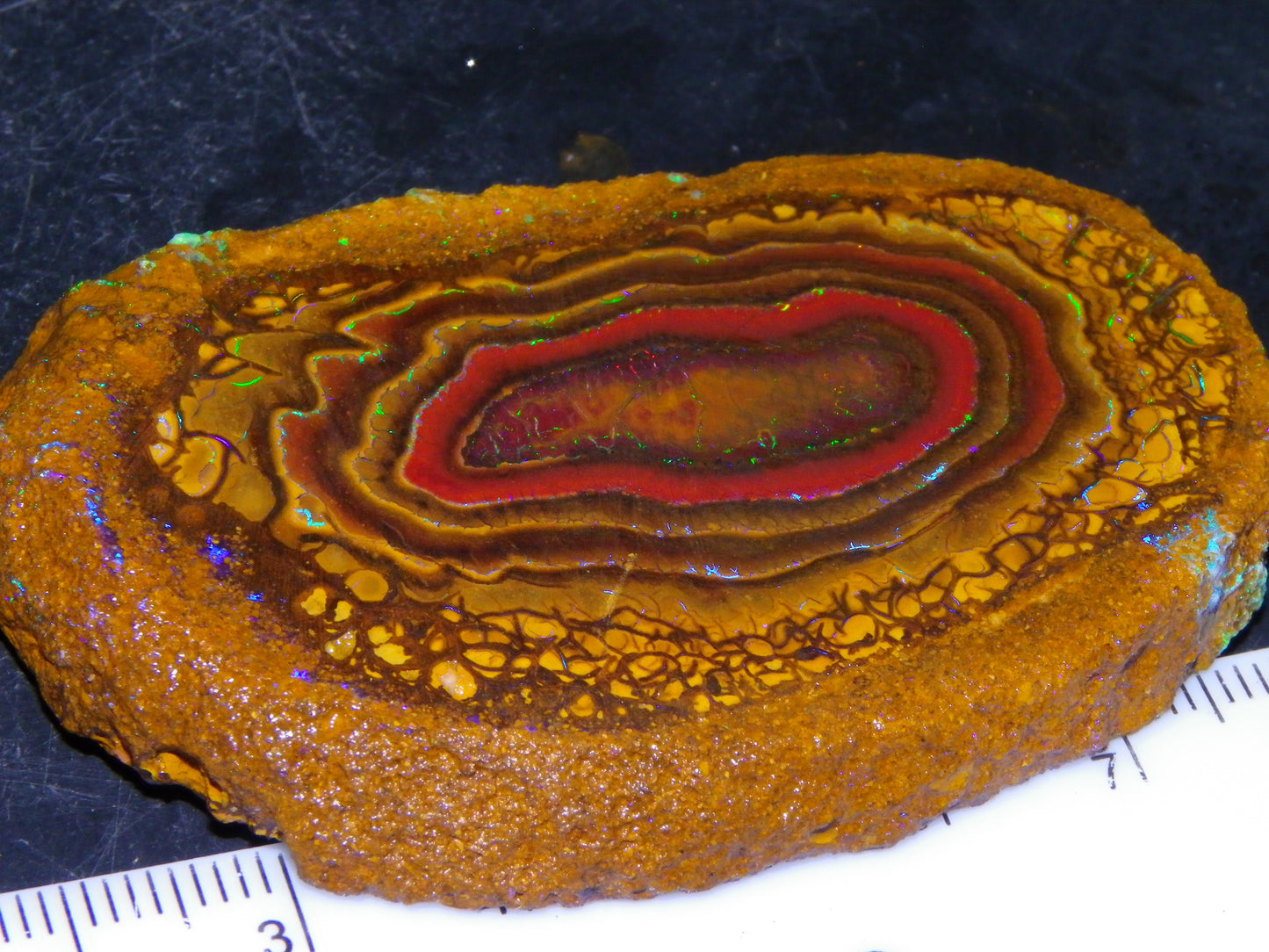 Nice Sliced Koroit Opal Nut Specimen 178cts Patterns/Fires Queensland Australia