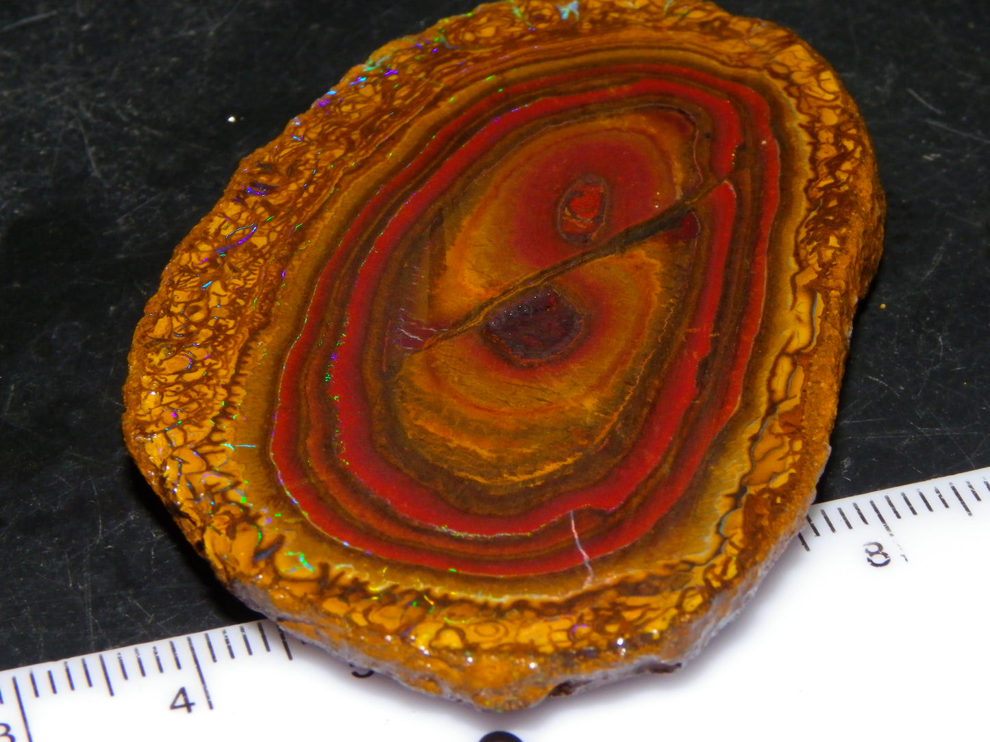 Nice Sliced Koroit Opal Nut Specimen 178cts Patterns/Fires Queensland Australia