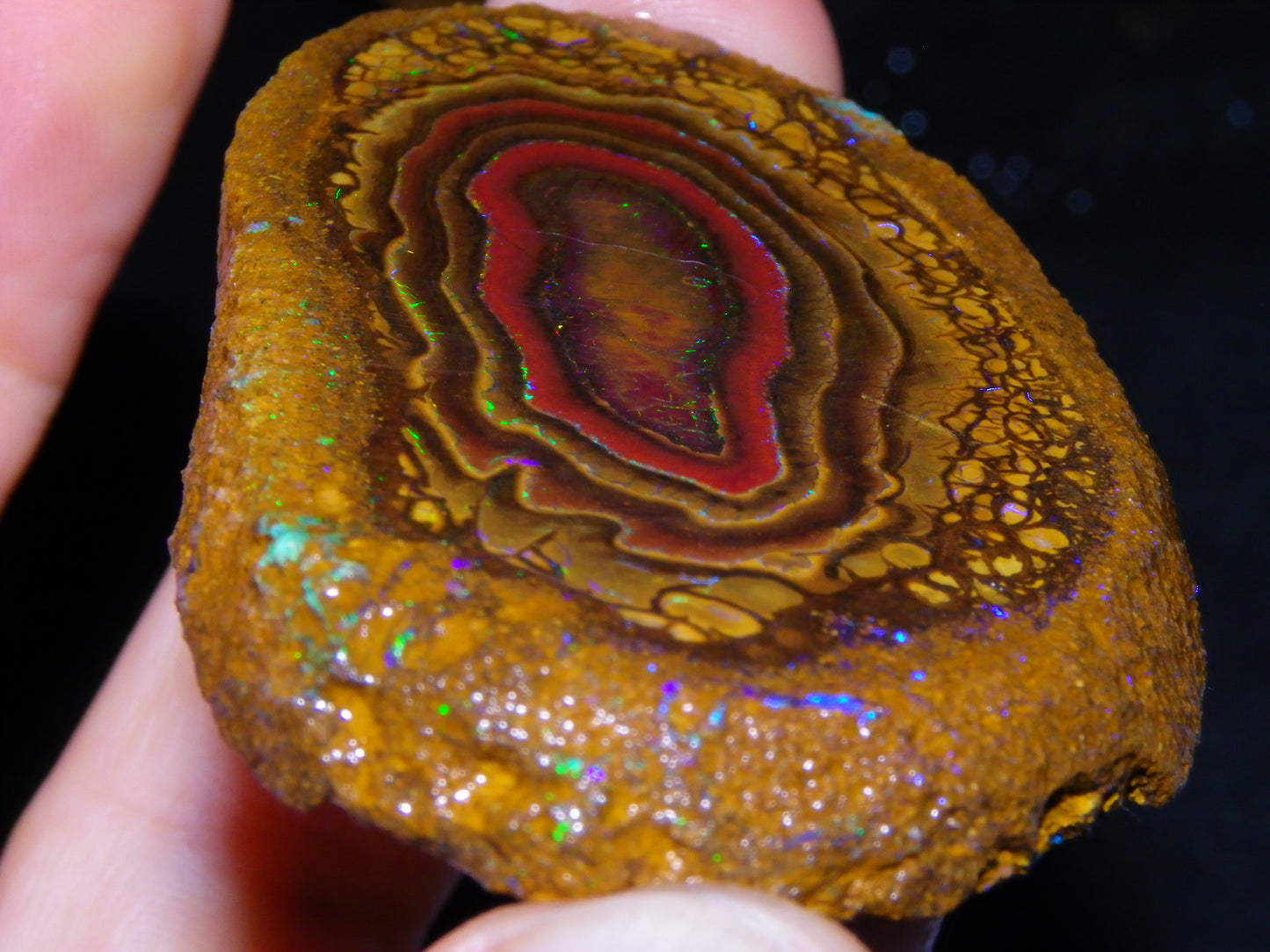 Nice Sliced Koroit Opal Nut Specimen 178cts Patterns/Fires Queensland Australia