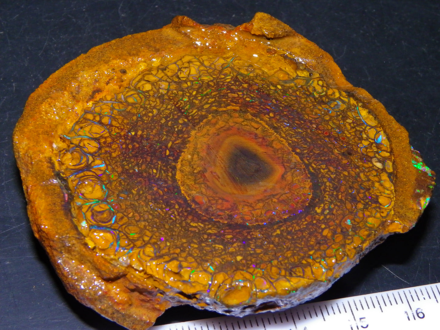 Nice Large 460cts Half Koroit Nut Fires/Patterns Skin over it, Sliced Specimen Australia