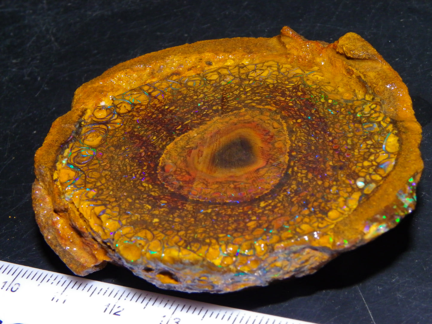 Nice Large 460cts Half Koroit Nut Fires/Patterns Skin over it, Sliced Specimen Australia