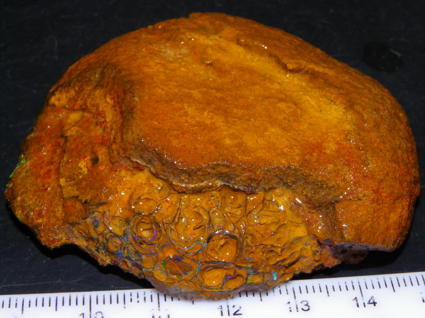 Nice Large 460cts Half Koroit Nut Fires/Patterns Skin over it, Sliced Specimen Australia