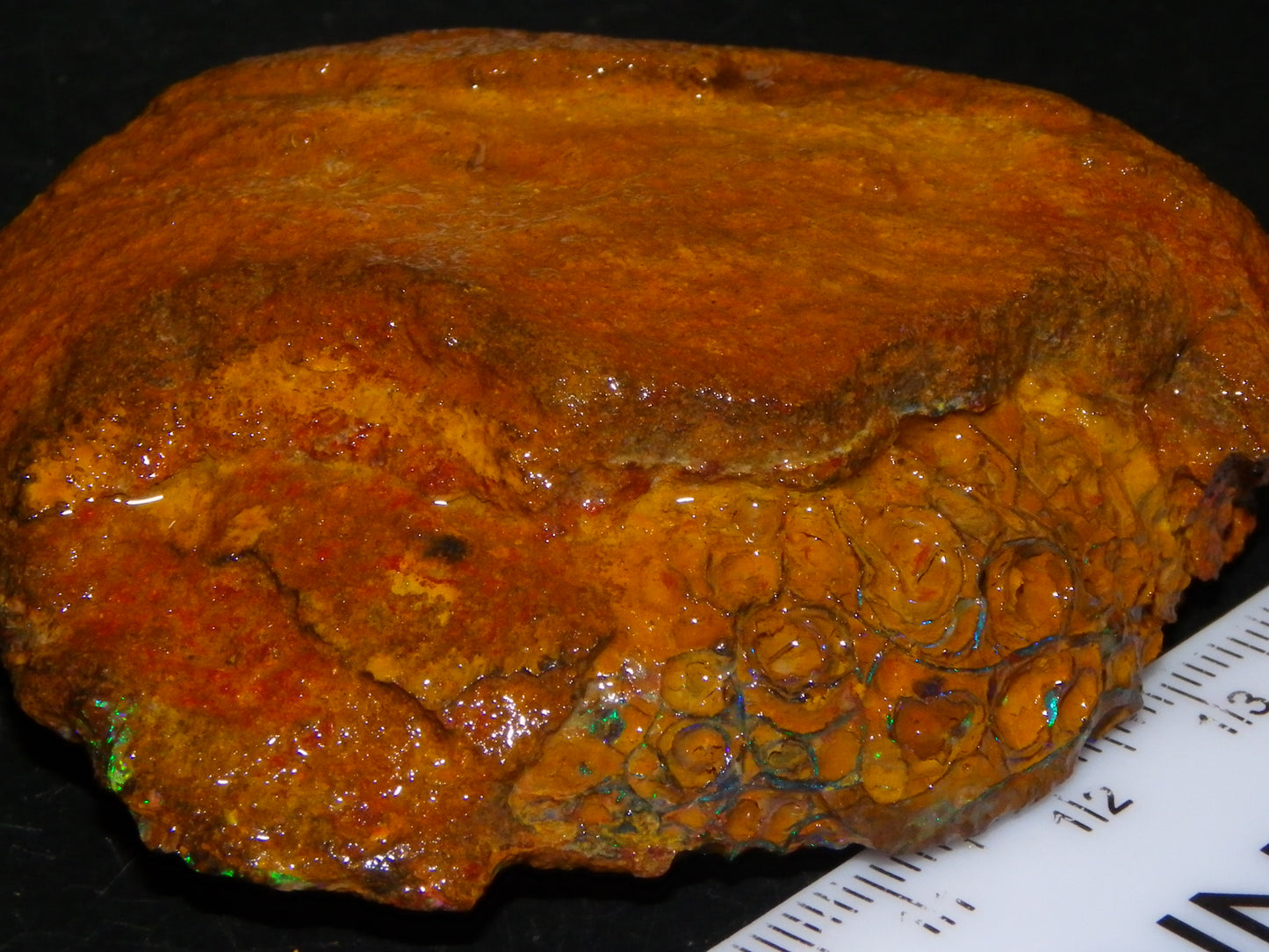 Nice Large 460cts Half Koroit Nut Fires/Patterns Skin over it, Sliced Specimen Australia