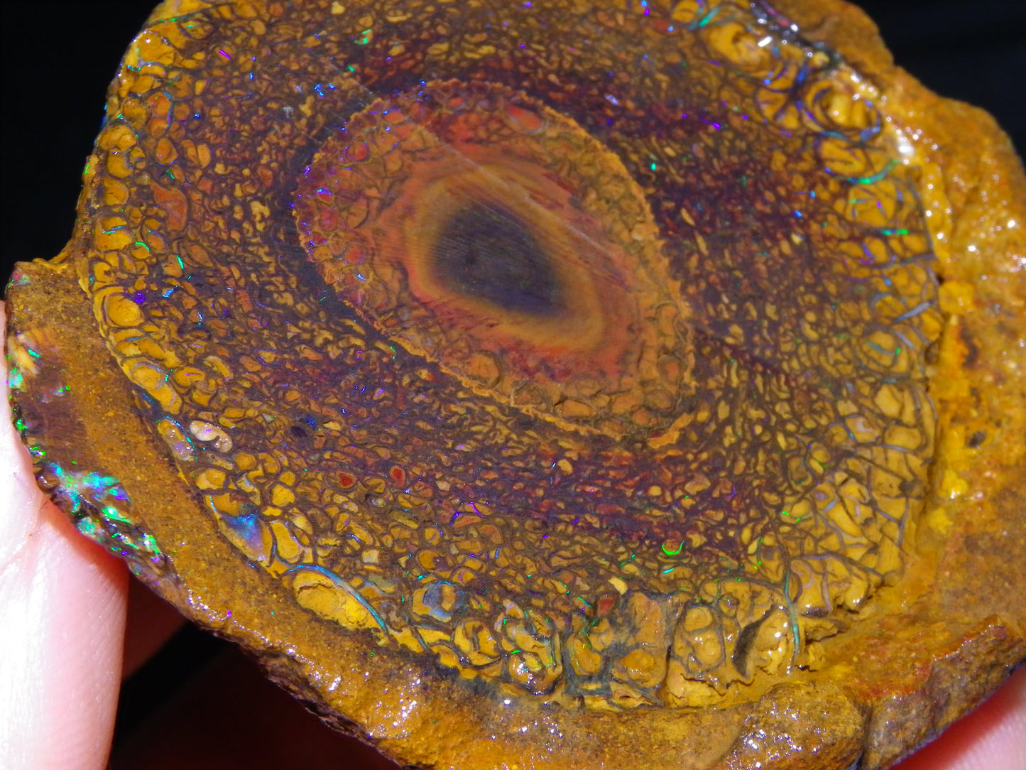 Nice Large 460cts Half Koroit Nut Fires/Patterns Skin over it, Sliced Specimen Australia