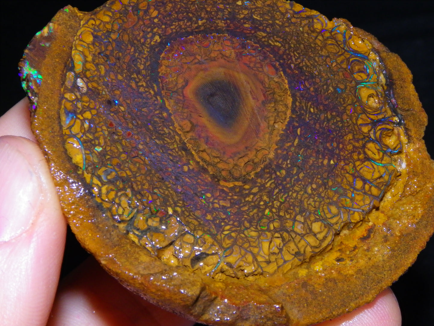 Nice Large 460cts Half Koroit Nut Fires/Patterns Skin over it, Sliced Specimen Australia