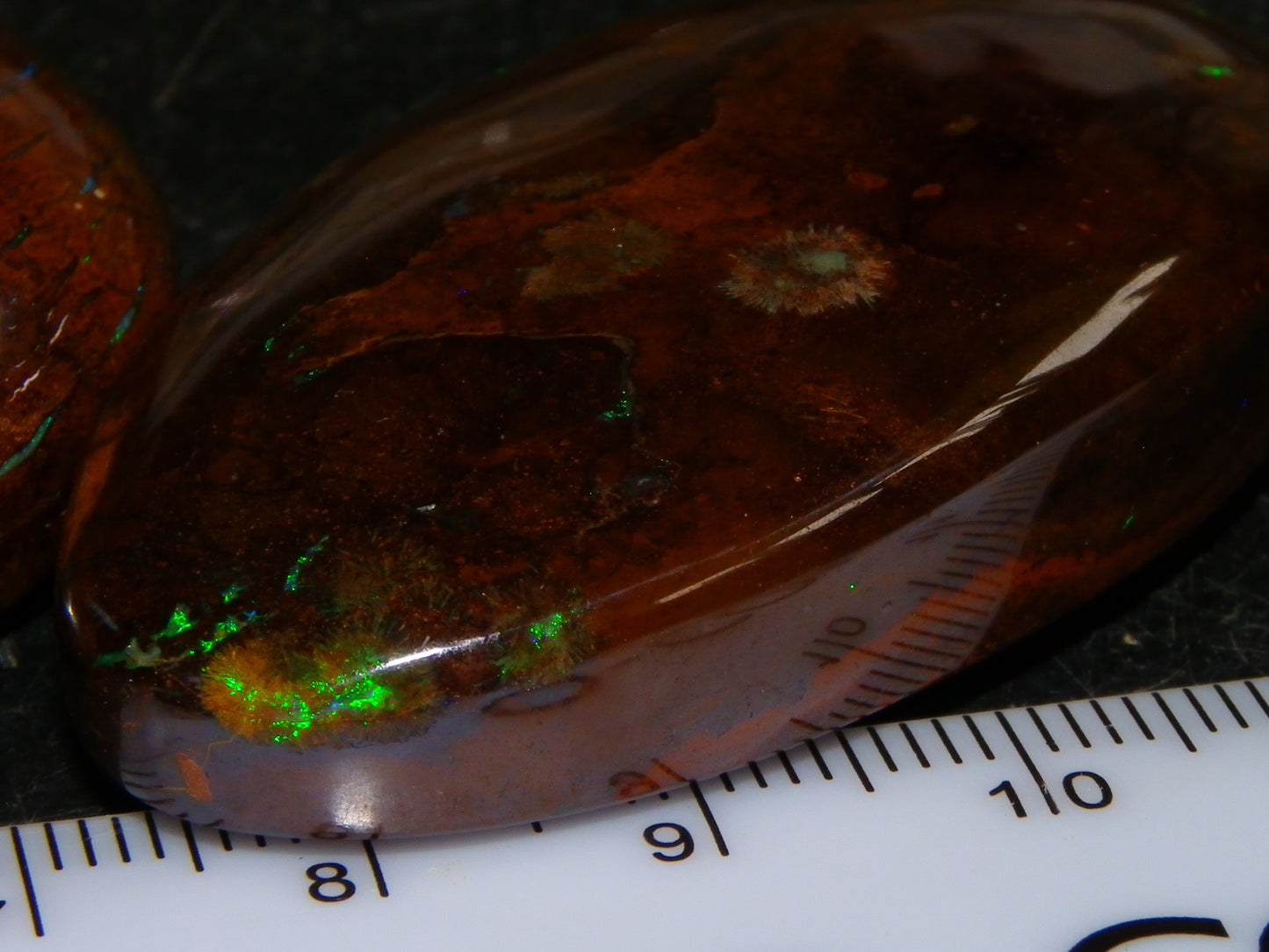 3 Large Koroit Polished Opal Specimens 625cts Green/Blue Fires Queensland