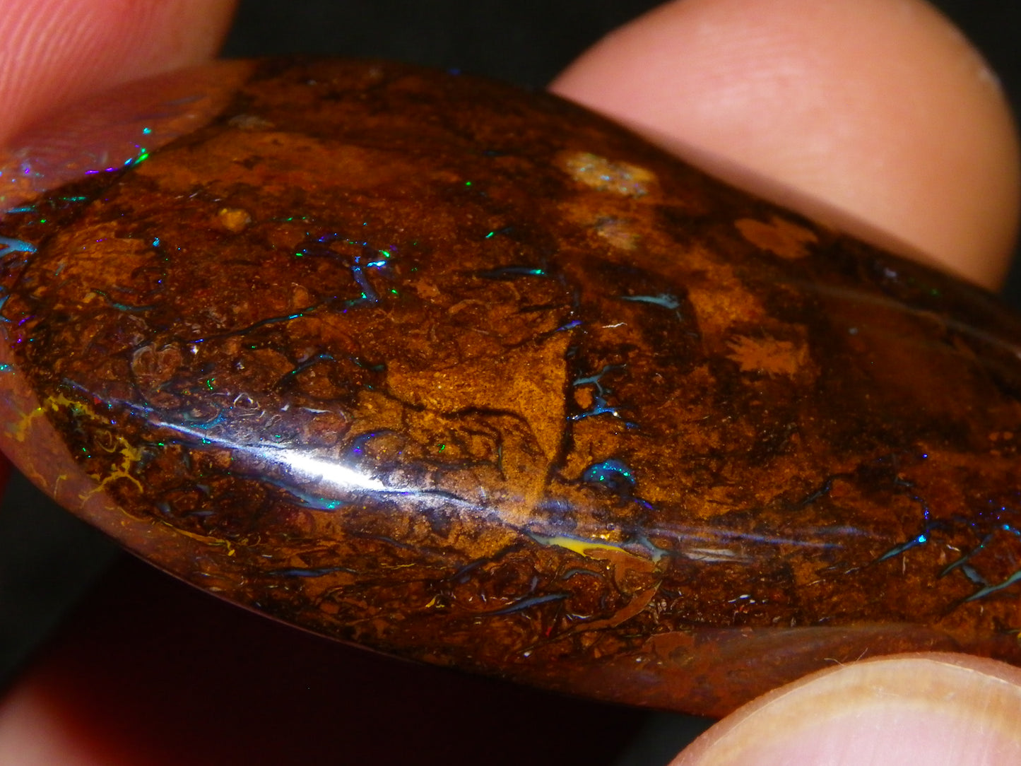 3 Large Koroit Polished Opal Specimens 625cts Green/Blue Fires Queensland