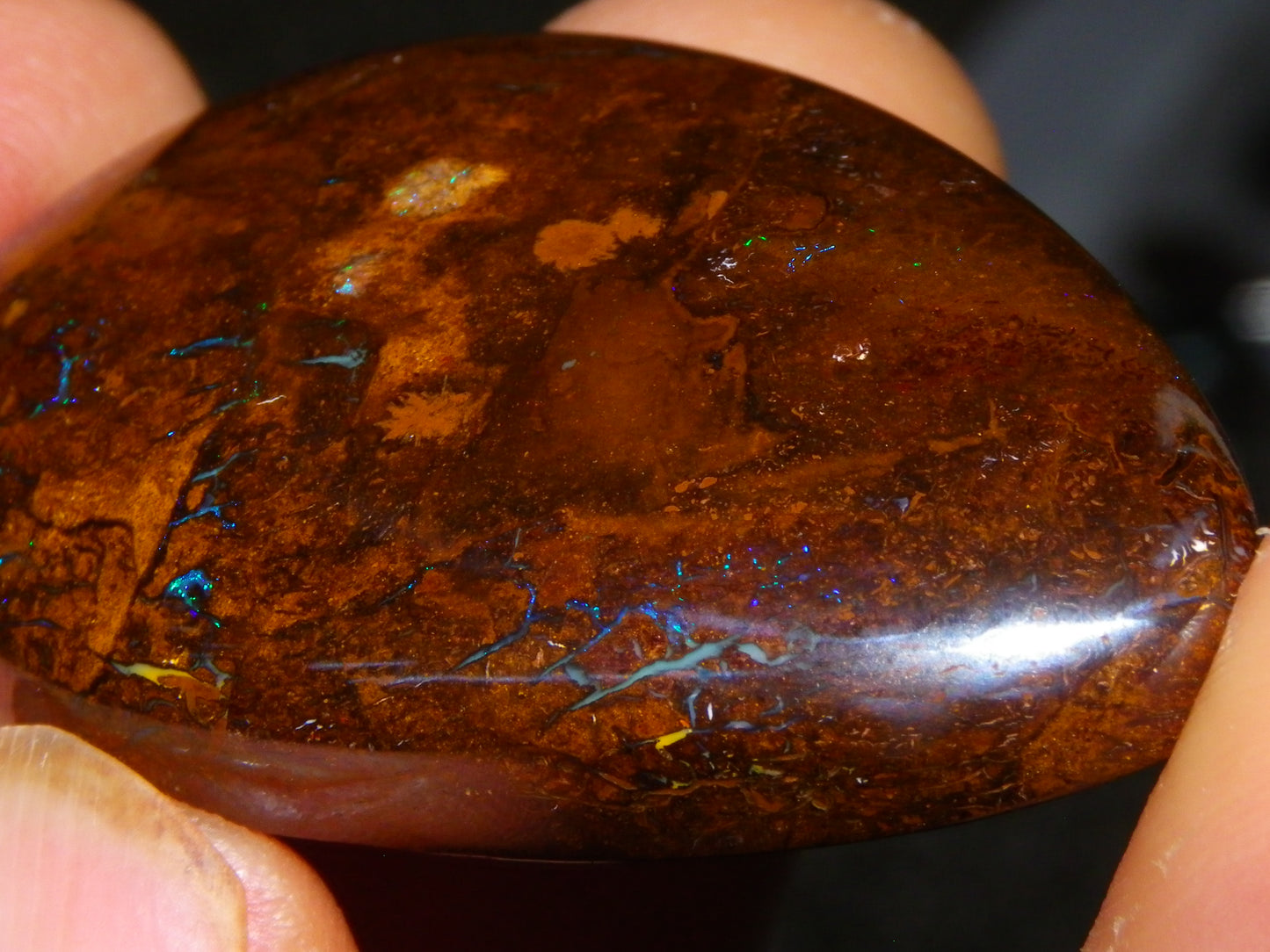 3 Large Koroit Polished Opal Specimens 625cts Green/Blue Fires Queensland