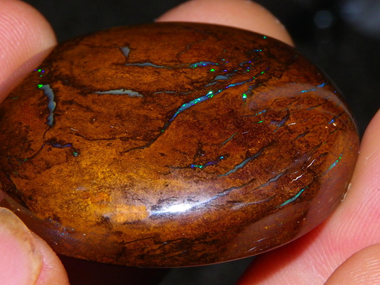 3 Large Koroit Polished Opal Specimens 625cts Green/Blue Fires Queensland