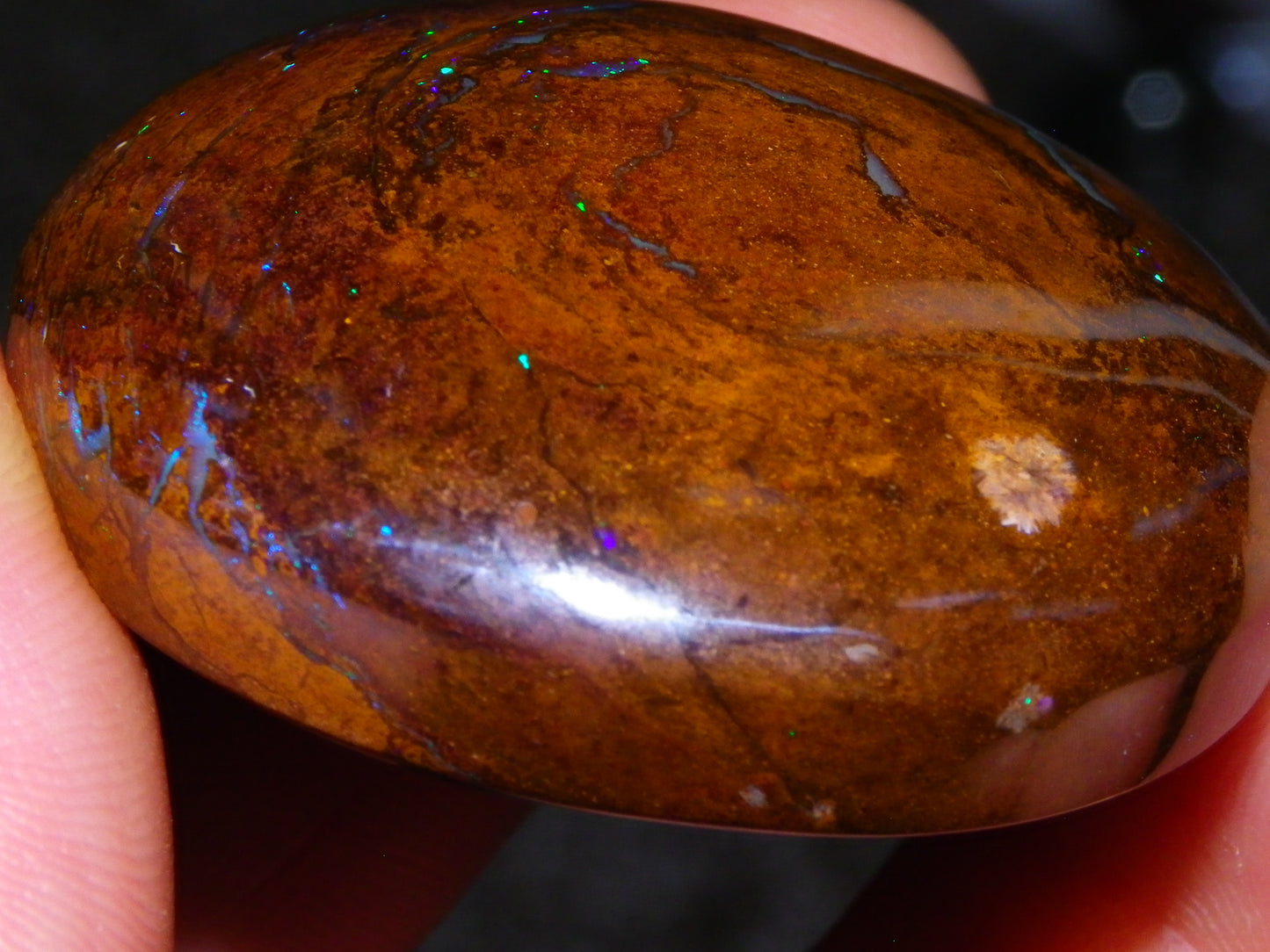3 Large Koroit Polished Opal Specimens 625cts Green/Blue Fires Queensland