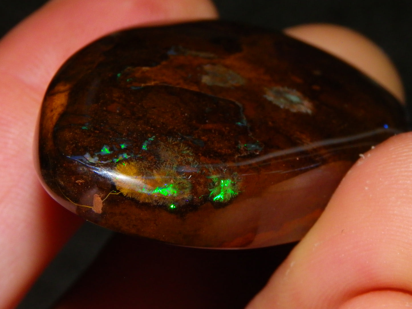 3 Large Koroit Polished Opal Specimens 625cts Green/Blue Fires Queensland