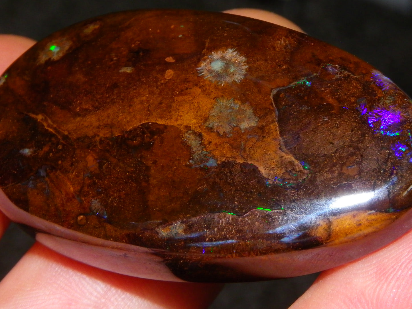 3 Large Koroit Polished Opal Specimens 625cts Green/Blue Fires Queensland