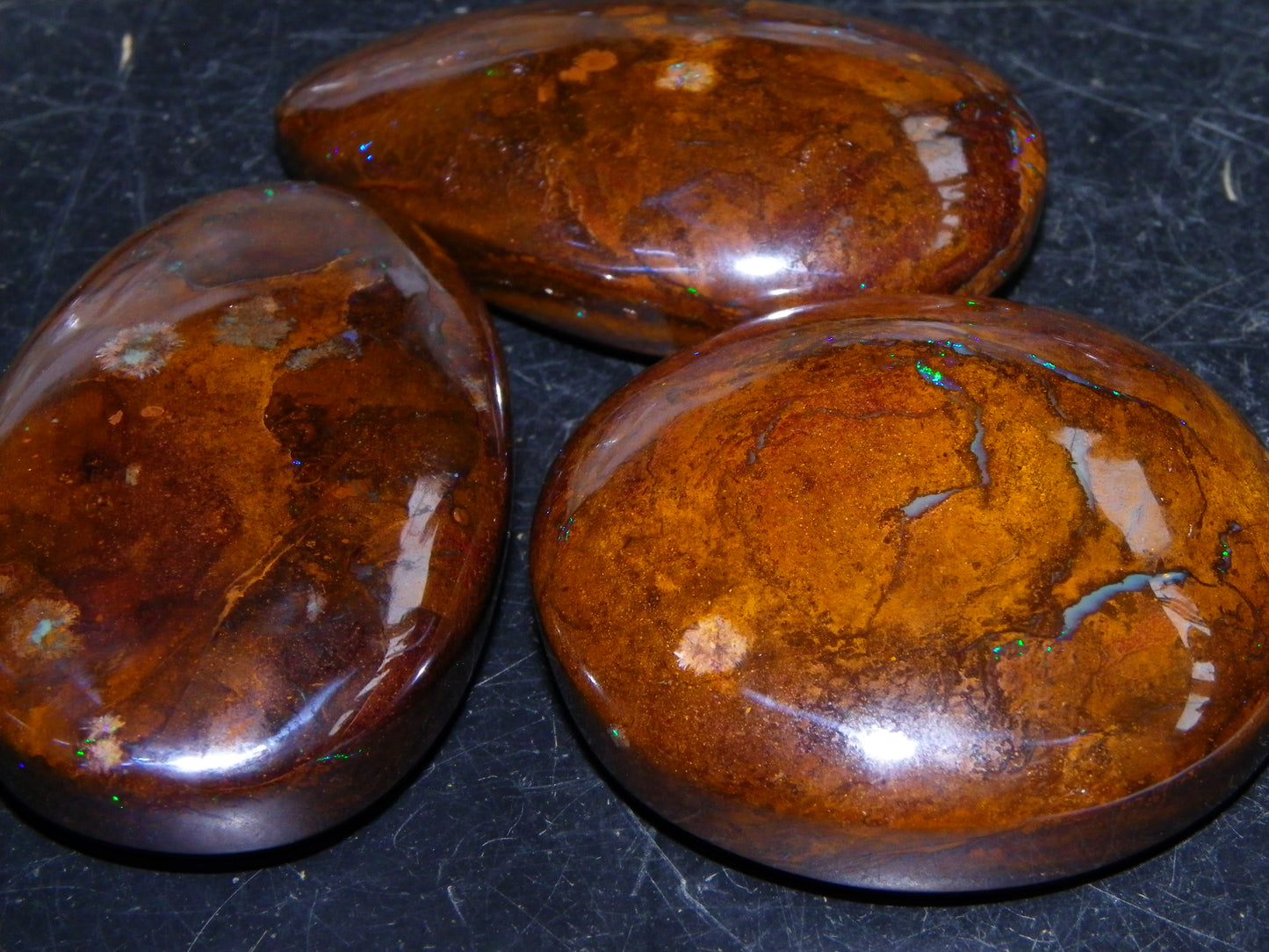 3 Large Koroit Polished Opal Specimens 625cts Green/Blue Fires Queensland