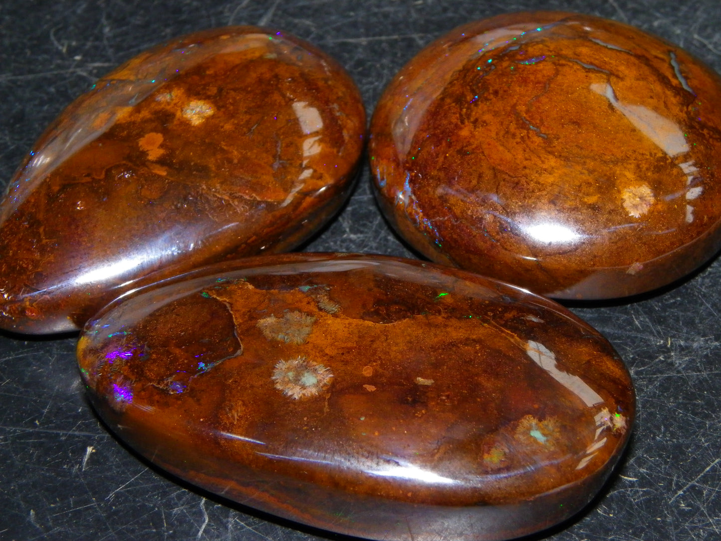 3 Large Koroit Polished Opal Specimens 625cts Green/Blue Fires Queensland