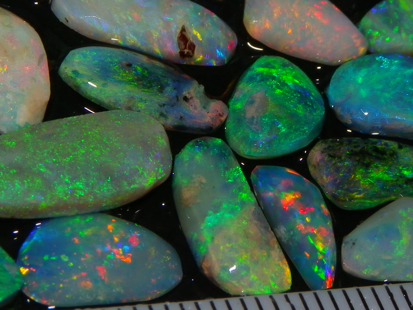 Nice Rubbed/Preforms Lightning Ridge Opals Parcel 35cts All with Fires some Multicolours