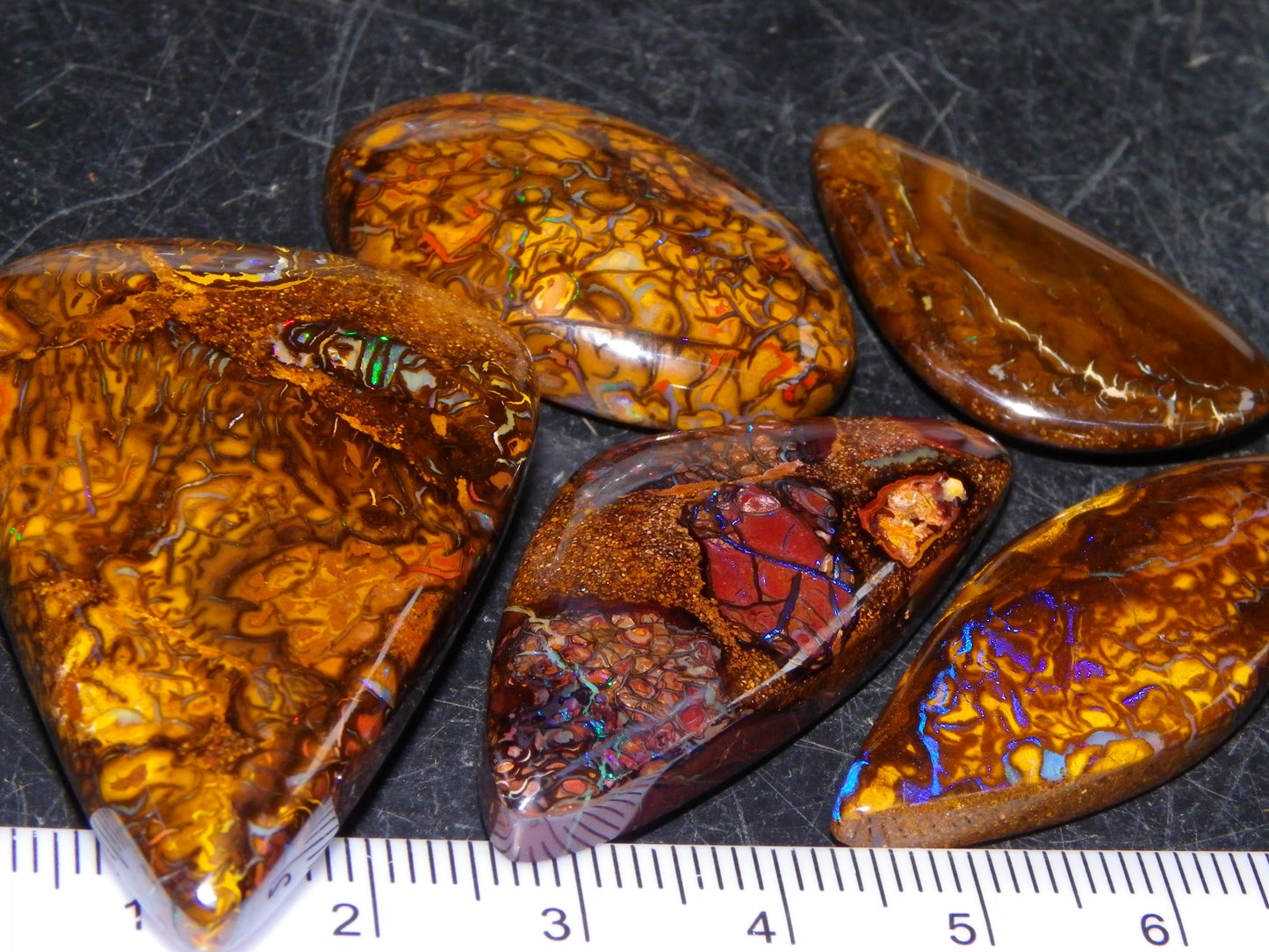 5 Nice Cut/Polished Koroit Opals 264cts Patterns/Fires Queensland Australia