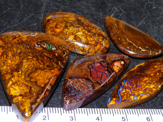 5 Nice Cut/Polished Koroit Opals 264cts Patterns/Fires Queensland Australia