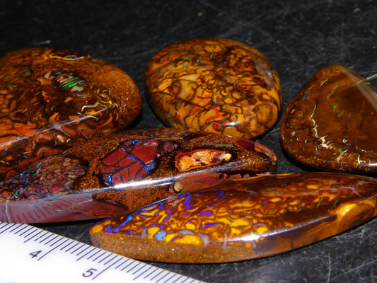 5 Nice Cut/Polished Koroit Opals 264cts Patterns/Fires Queensland Australia
