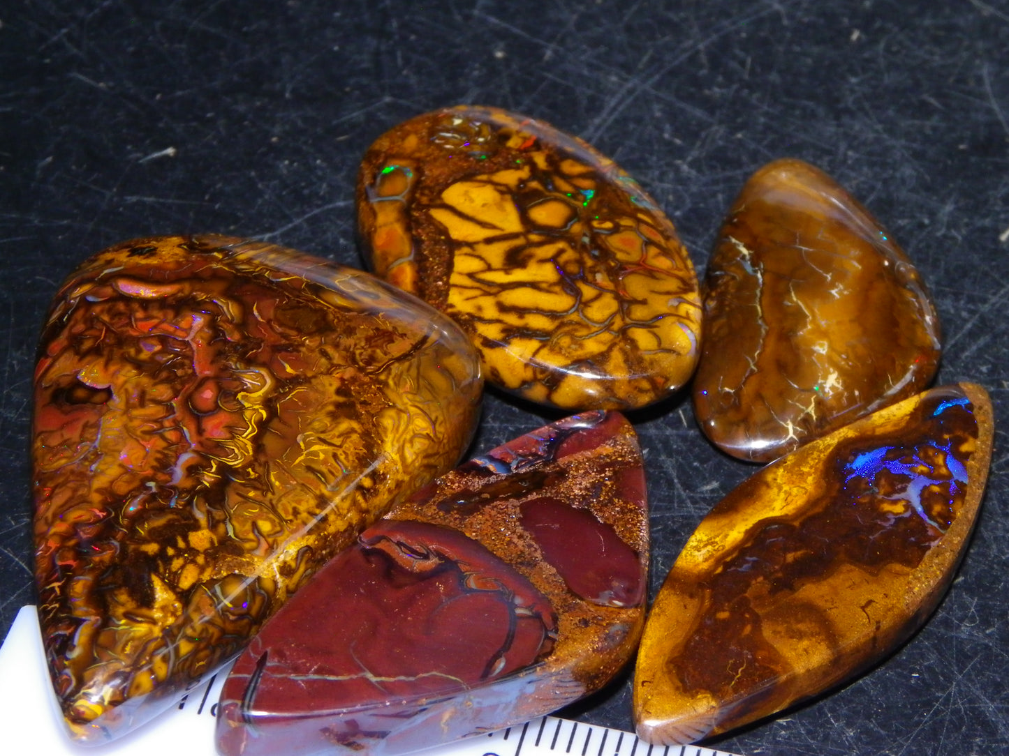 5 Nice Cut/Polished Koroit Opals 264cts Patterns/Fires Queensland Australia