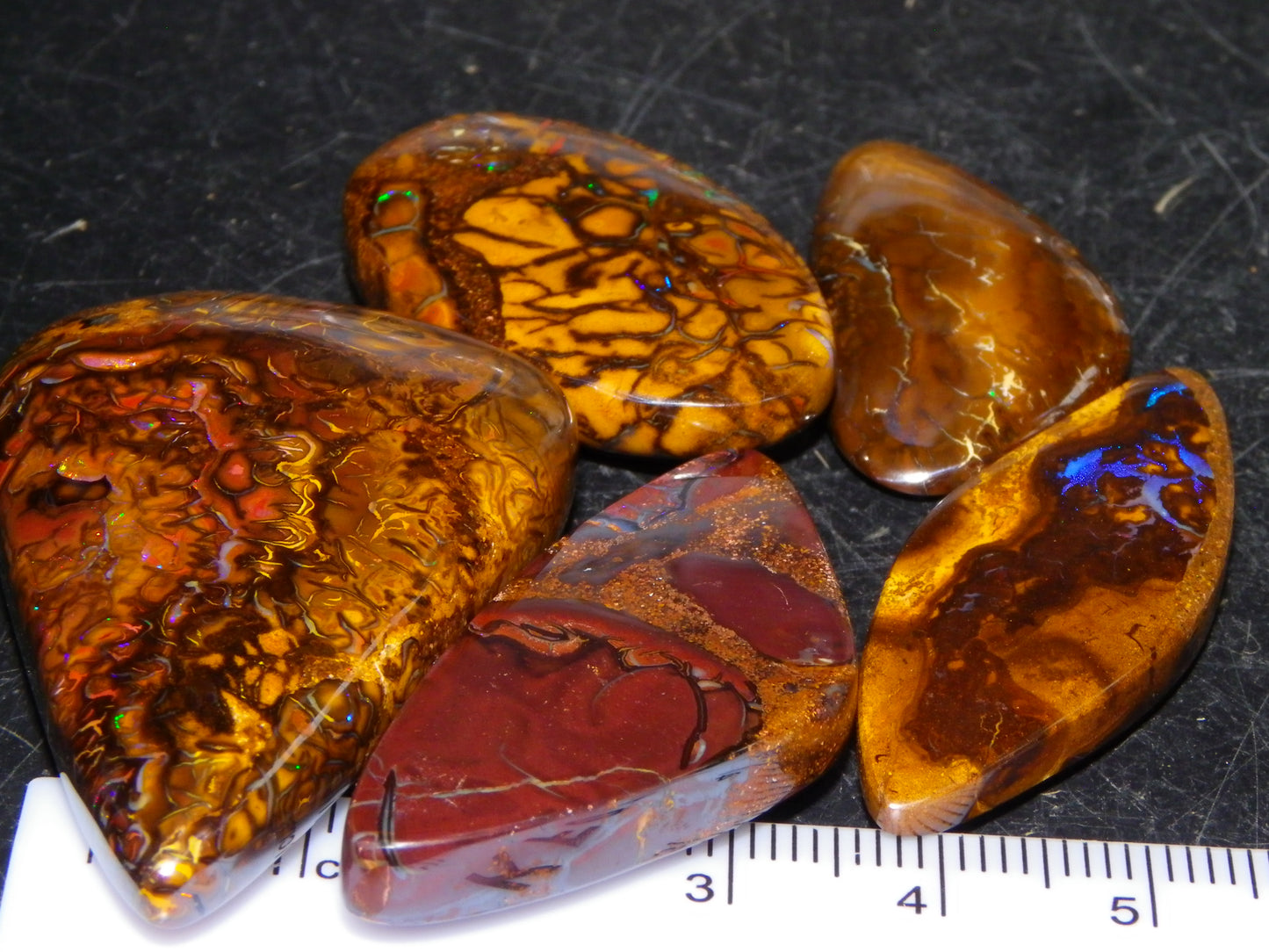 5 Nice Cut/Polished Koroit Opals 264cts Patterns/Fires Queensland Australia