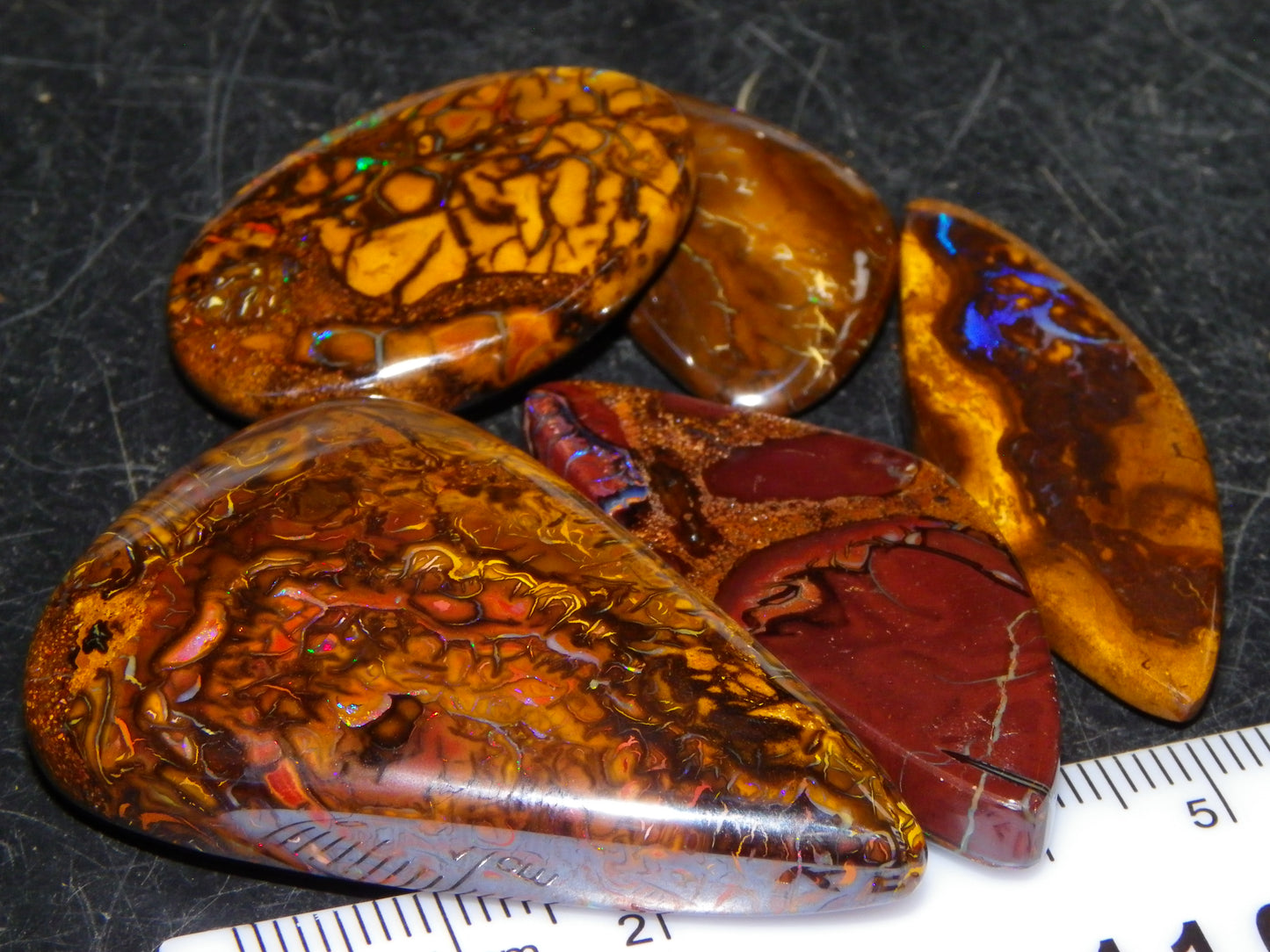 5 Nice Cut/Polished Koroit Opals 264cts Patterns/Fires Queensland Australia