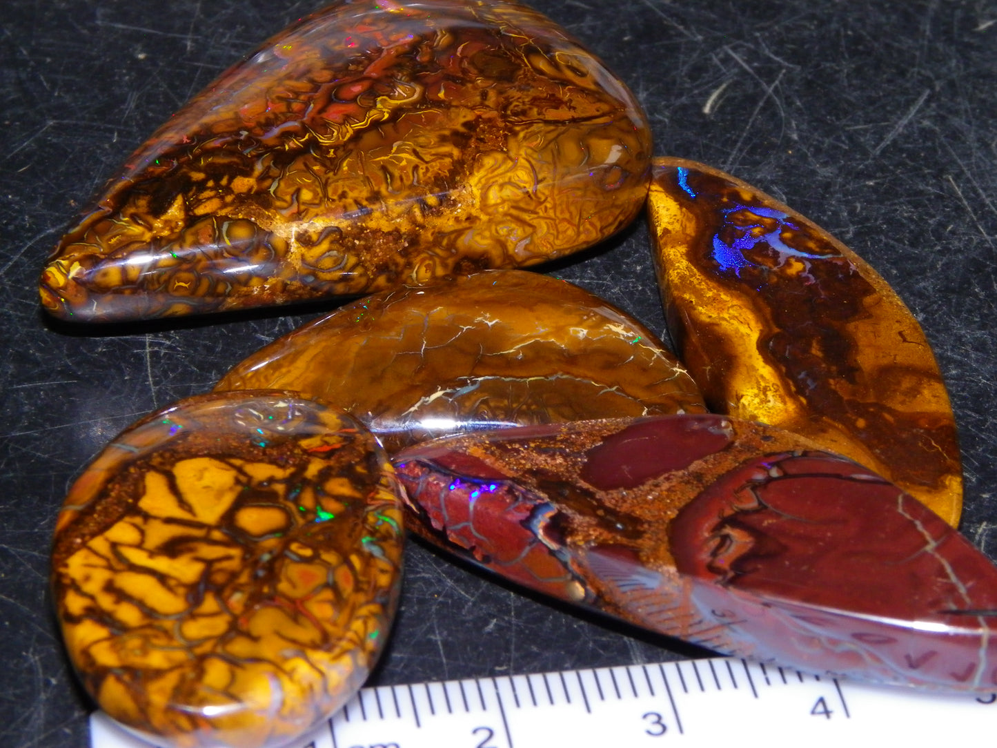 5 Nice Cut/Polished Koroit Opals 264cts Patterns/Fires Queensland Australia