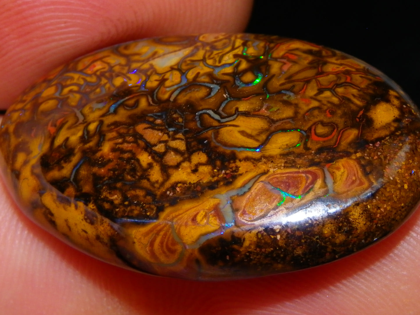 5 Nice Cut/Polished Koroit Opals 264cts Patterns/Fires Queensland Australia