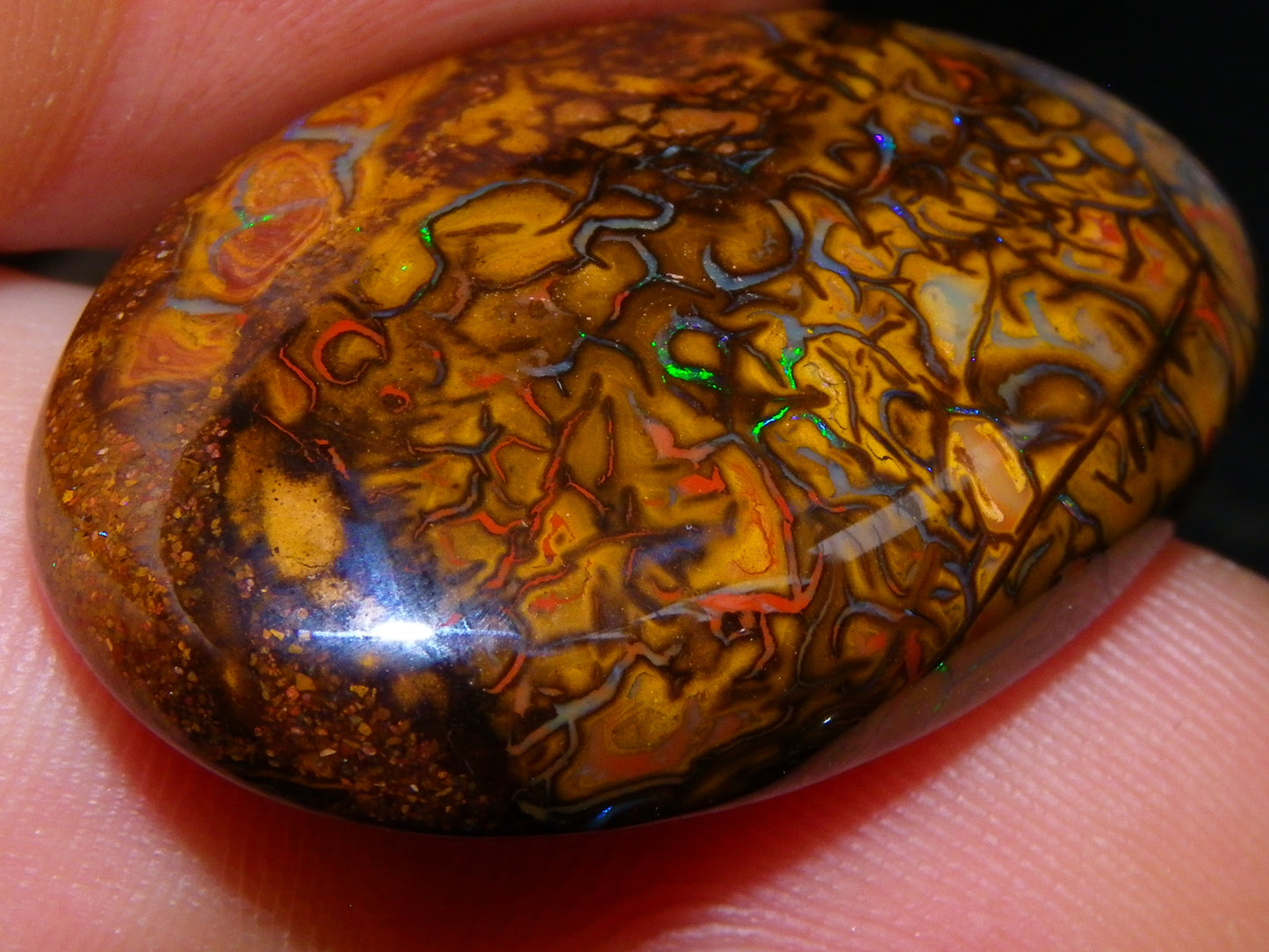 5 Nice Cut/Polished Koroit Opals 264cts Patterns/Fires Queensland Australia