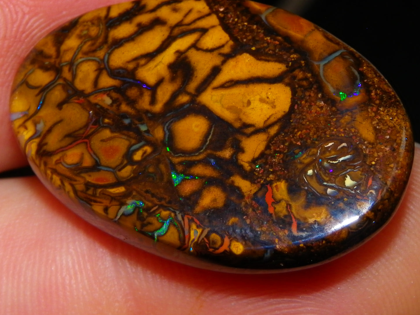 5 Nice Cut/Polished Koroit Opals 264cts Patterns/Fires Queensland Australia