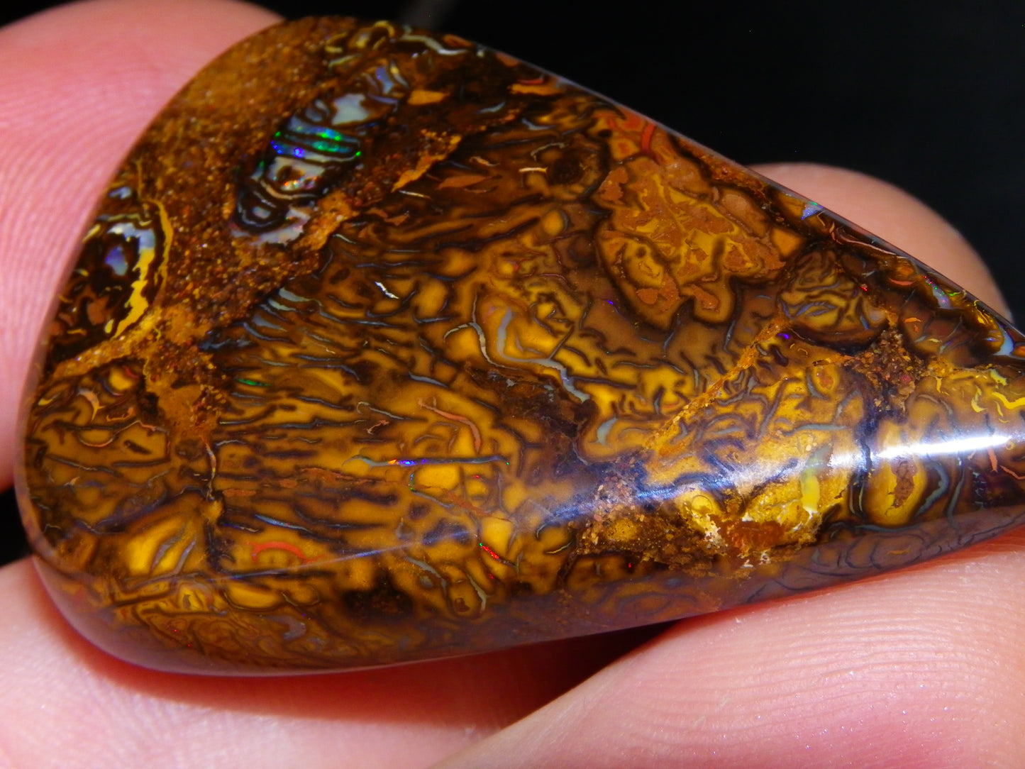 5 Nice Cut/Polished Koroit Opals 264cts Patterns/Fires Queensland Australia
