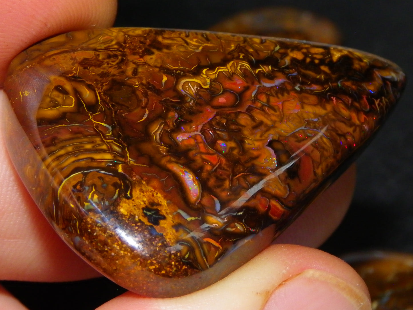 5 Nice Cut/Polished Koroit Opals 264cts Patterns/Fires Queensland Australia