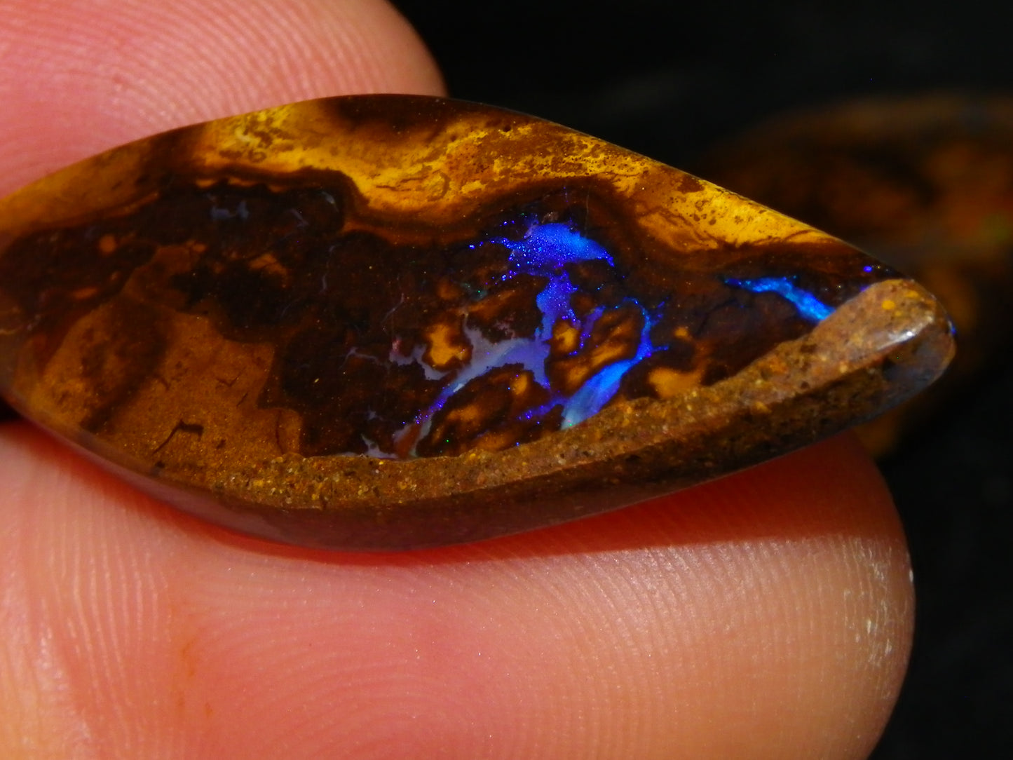 5 Nice Cut/Polished Koroit Opals 264cts Patterns/Fires Queensland Australia