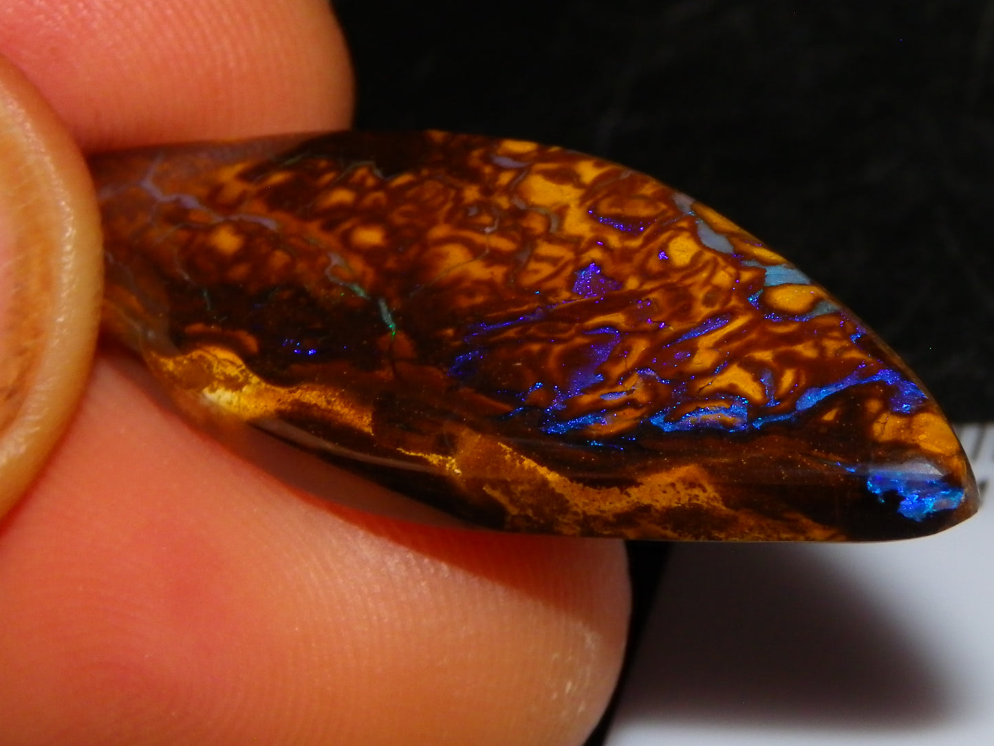 5 Nice Cut/Polished Koroit Opals 264cts Patterns/Fires Queensland Australia