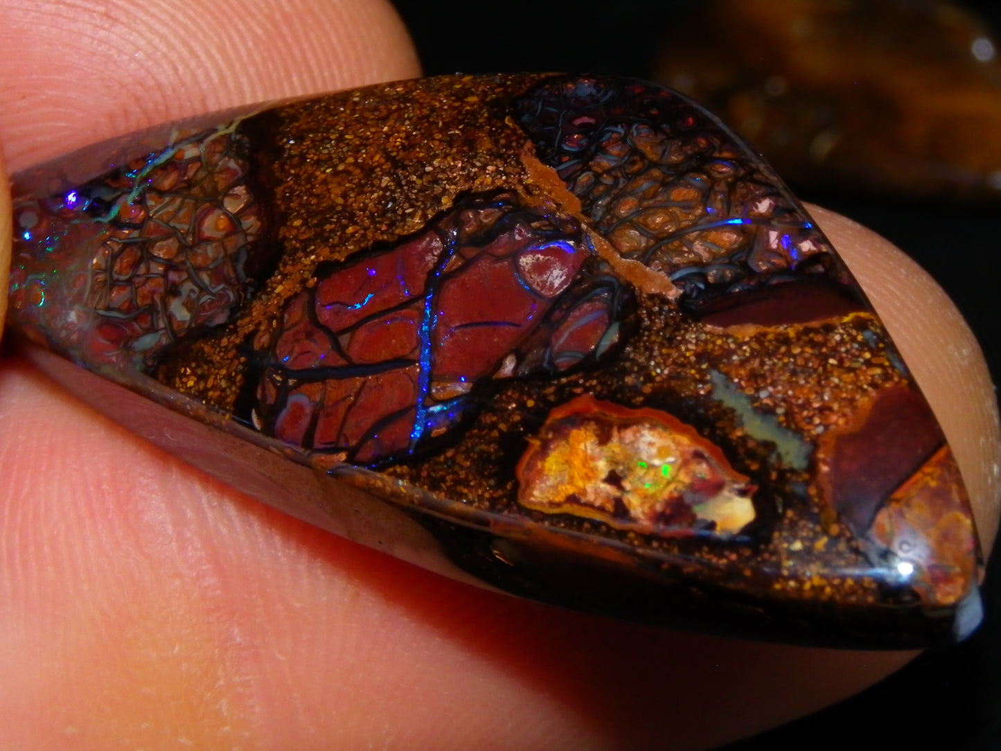 5 Nice Cut/Polished Koroit Opals 264cts Patterns/Fires Queensland Australia