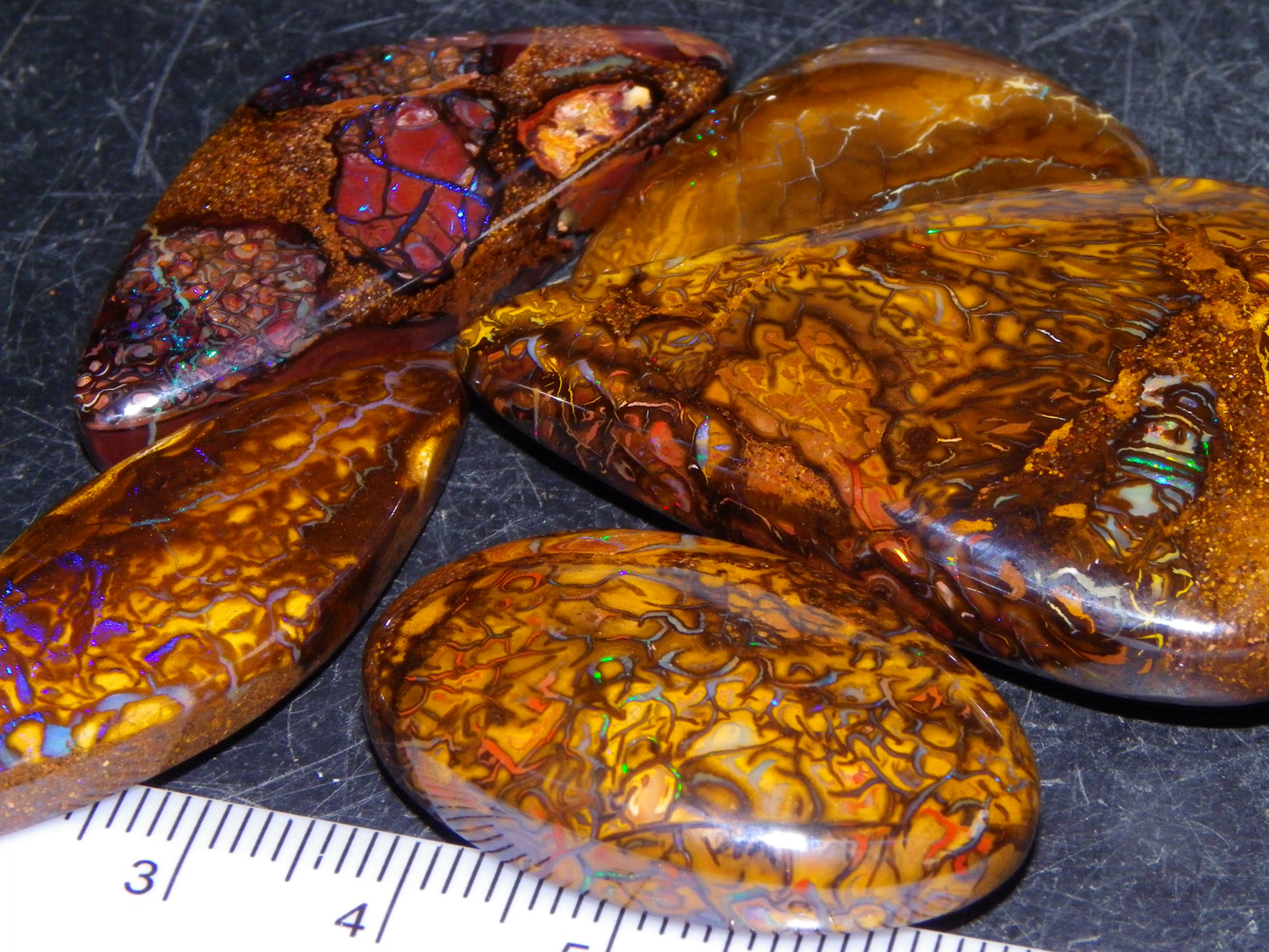 5 Nice Cut/Polished Koroit Opals 264cts Patterns/Fires Queensland Australia