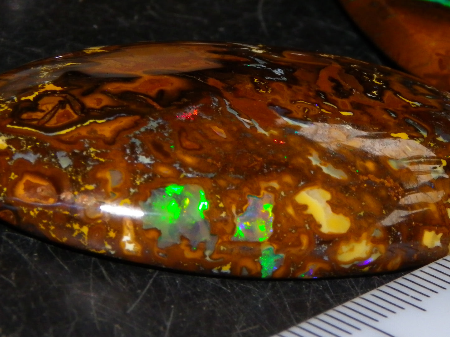 5 Nice Cut/Polished Koroit Opals 260cts Queensland Australia Green Fires
