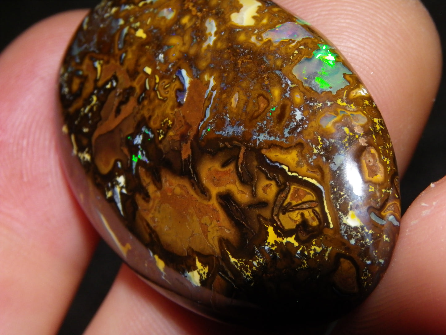 5 Nice Cut/Polished Koroit Opals 260cts Queensland Australia Green Fires