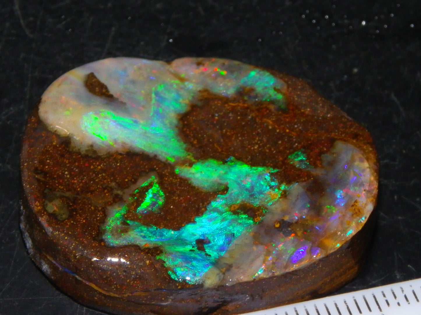 Nice Quality Boulder Opal Freeform Oval Rub 81cts Specimen Bright Fires Qld Australia