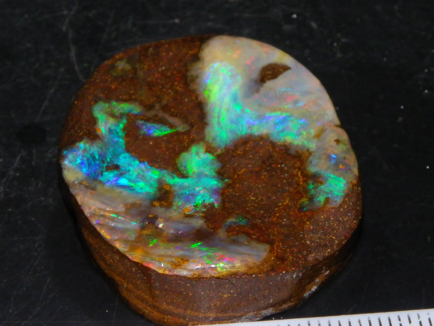 Nice Quality Boulder Opal Freeform Oval Rub 81cts Specimen Bright Fires Qld Australia